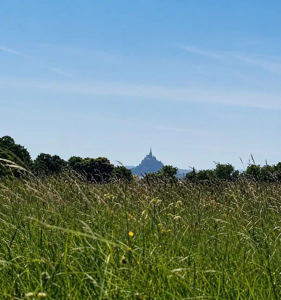 Vue Mont-Saint-Michel